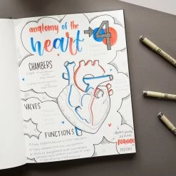 Best Pirce 🎉 Micron® Brush™ Gray Pen Set by Sakura 🔔 -Fabriano Sales Store 10694386 7