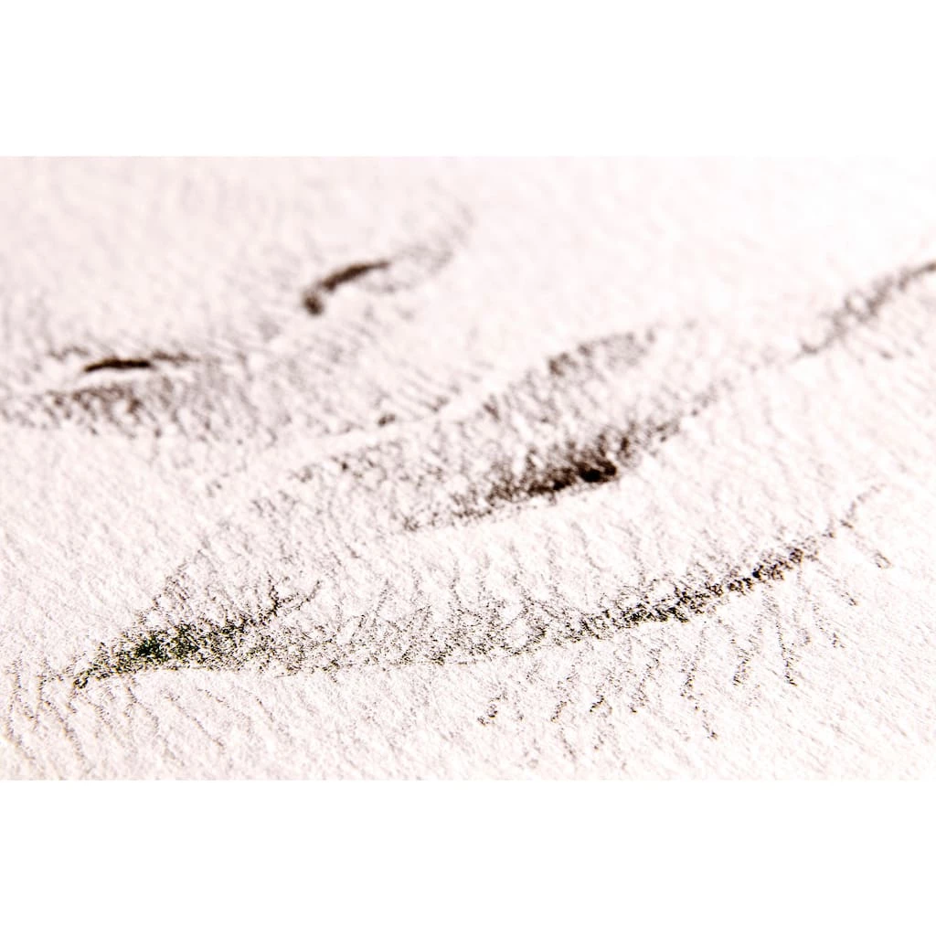 Brand new π 5 Pack: Fabriano® Mixed Media Pad, 9" x 12" π 8 Brand new π 5 Pack: Fabriano® Mixed Media Pad, 9" x 12" π - Image 6